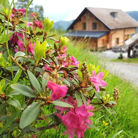 Almhuette Kristabauer Holiday home *