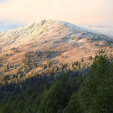 Almhütte Kristabauer Ferienhaus *
