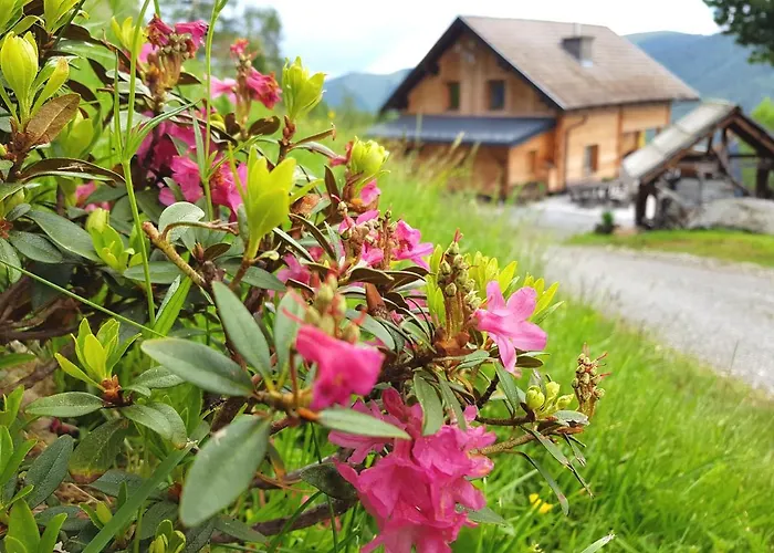 Almhuette Kristabauer Holiday home *