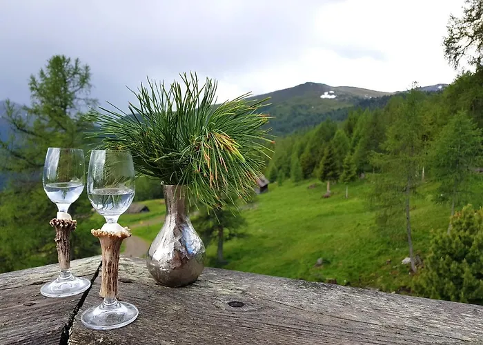 Almhuette Kristabauer Holiday home *