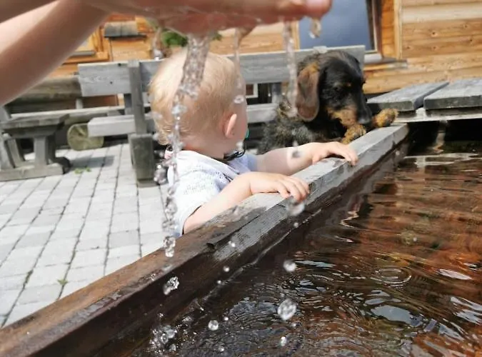 Almhuette Kristabauer *