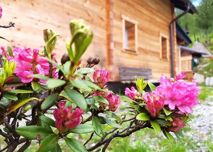 بيت للعطل Almhuette Kristabauer Predlitz