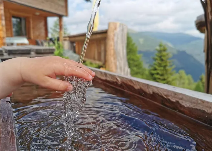 بيت للعطل Almhuette Kristabauer Predlitz