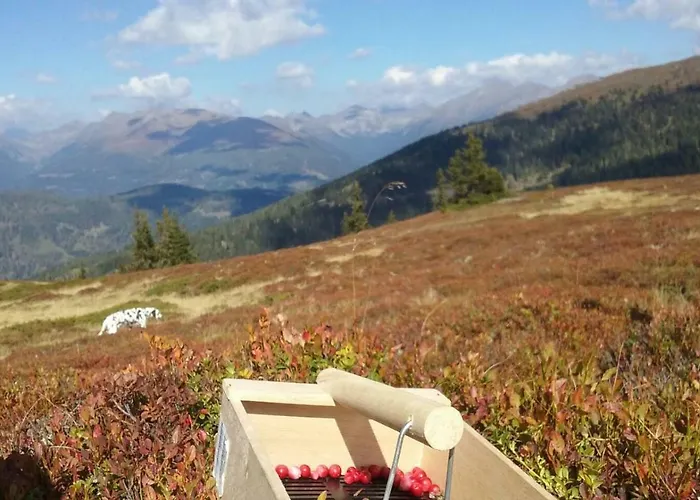 بيت للعطل Almhuette Kristabauer *