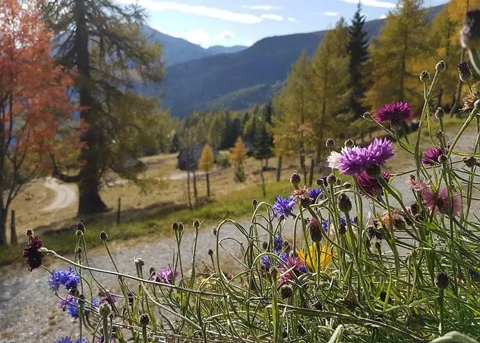 بيت للعطل Almhuette Kristabauer